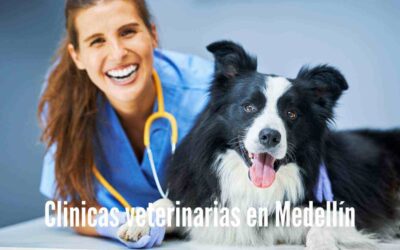 Veterinarias en Medellín